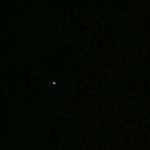 Meet your Posher, Dianna